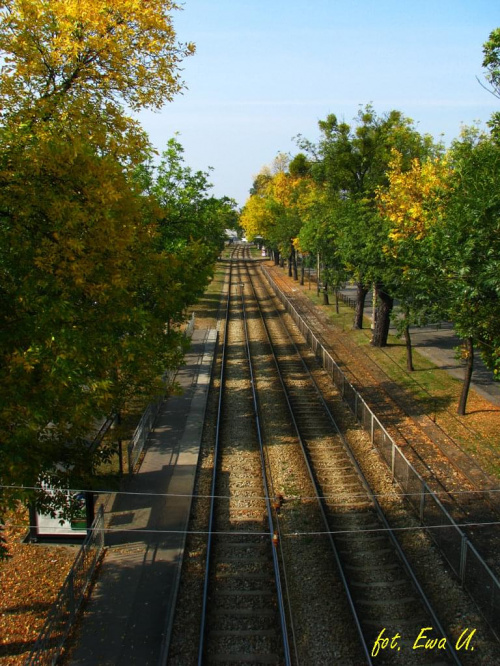 dzień dobry