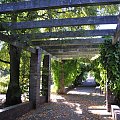 Pergola w półcieniu