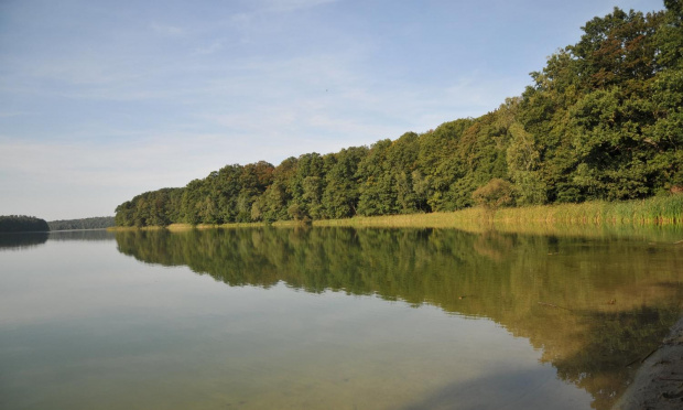 Jezioro Góreckie podczas niedzielnego wrześniowego spaceru