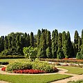 Spacerem po poznańskim ogrodzie botanicznym w ostatnie dni lata